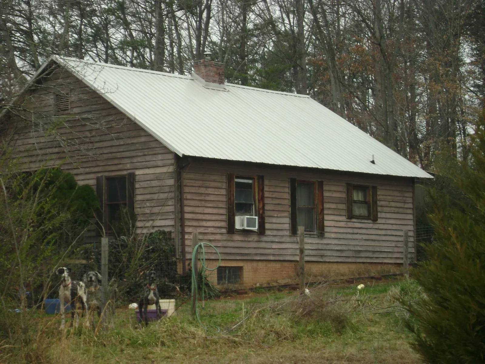 White metal roof on an old wood sided farmhouse, from a Asphalt Shingle Roof Repair job in Klickitat